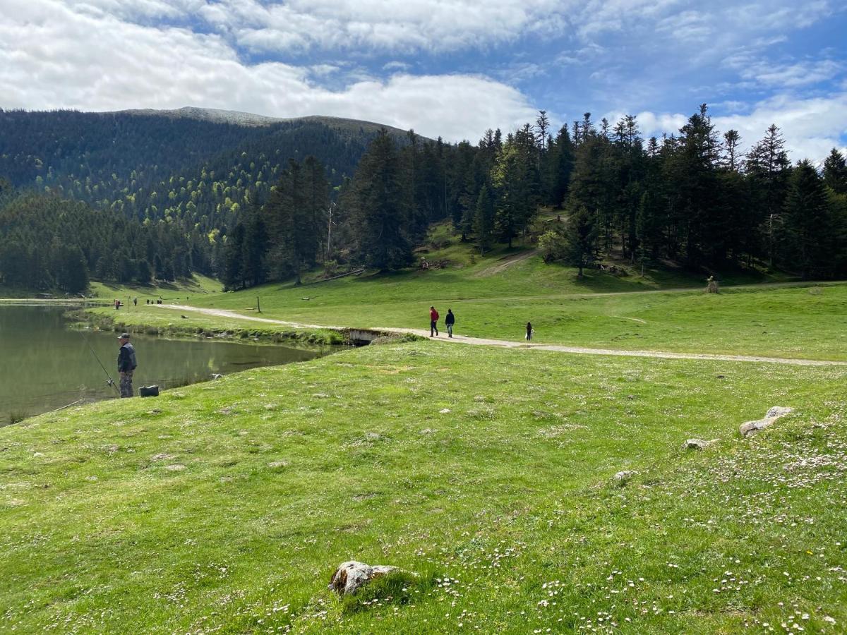 Gite Chaleureux Au Lac De Payolle 캄팡 외부 사진