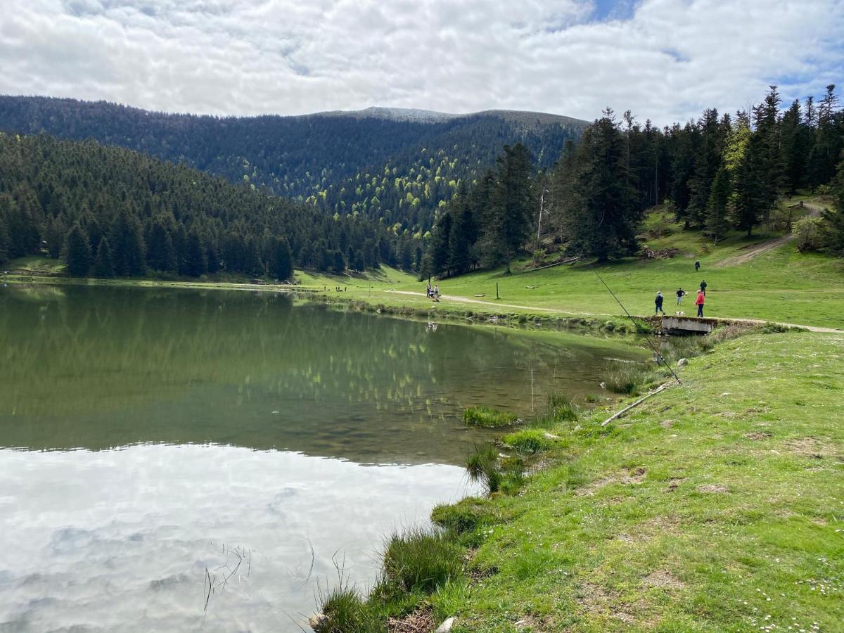 Gite Chaleureux Au Lac De Payolle 캄팡 외부 사진