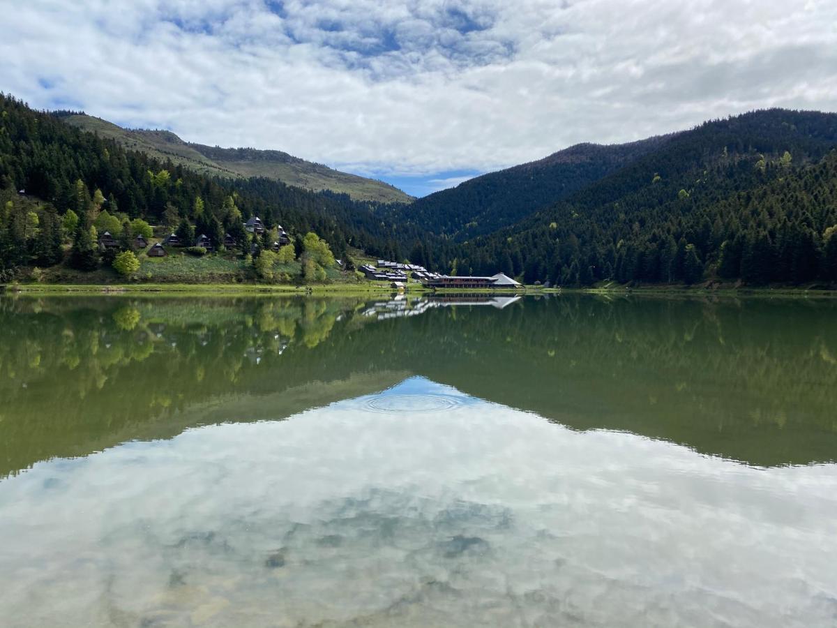 Gite Chaleureux Au Lac De Payolle 캄팡 외부 사진