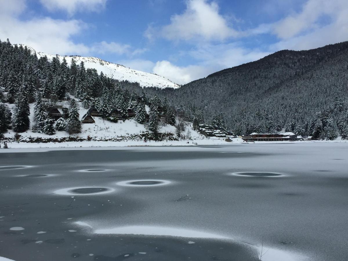 Gite Chaleureux Au Lac De Payolle 캄팡 외부 사진